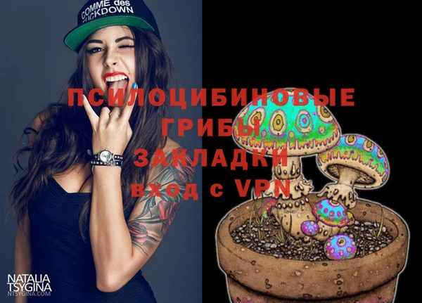 не бодяженный Арсеньев