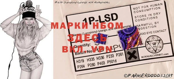 PSILOCYBIN Армянск